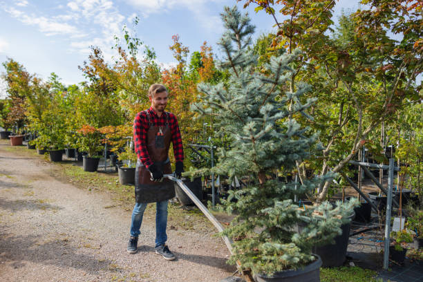 Soil Testing and Treatment in Sanford, ME